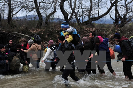 Người di cư và tị nạn cố tìm cách vượt sông sang Macedonia từ các trại tị nạn ở khu vực biên giới Hy Lạp-Macedonia ngày 14/3.